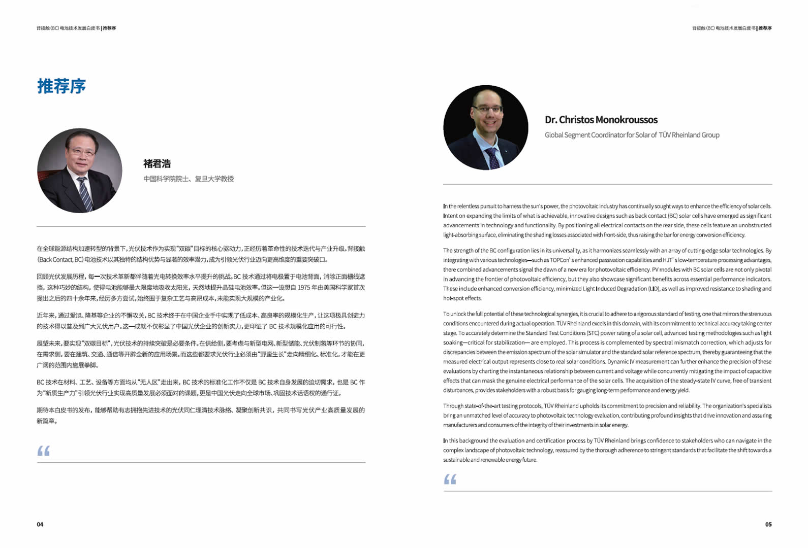 背接触（BC）电池技术发展白皮书