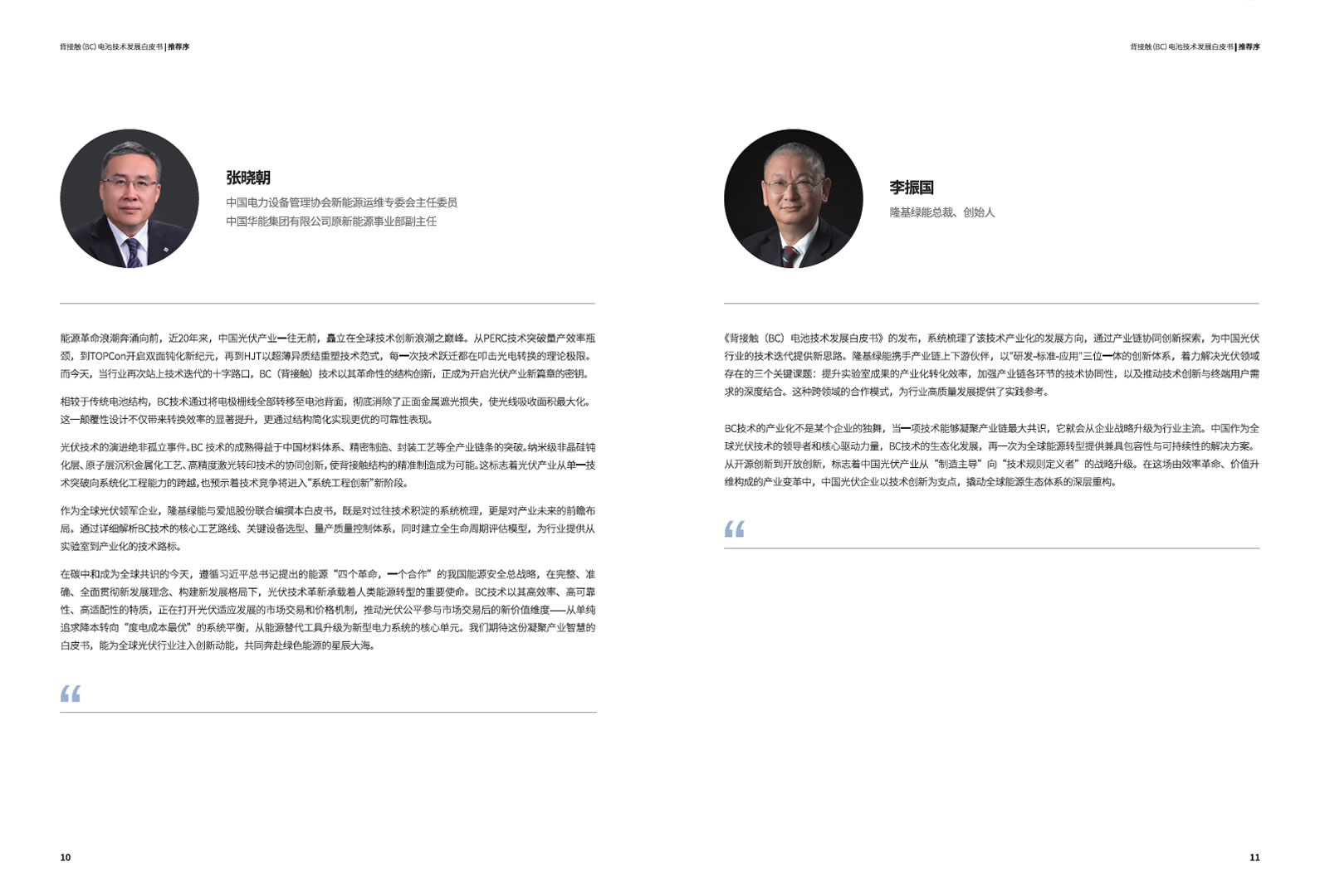 背接触（BC）电池技术发展白皮书