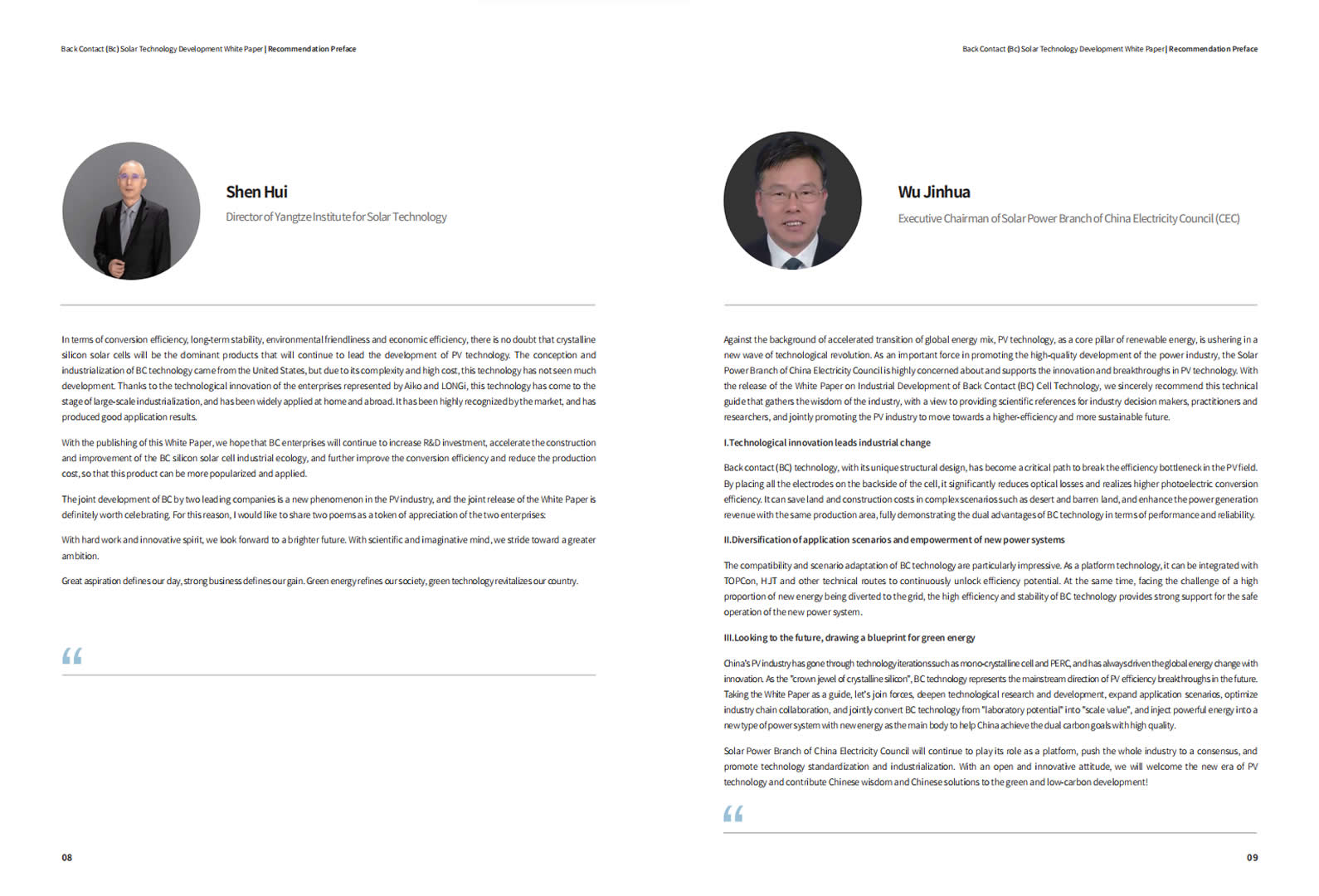 背接触（BC）电池技术发展白皮书