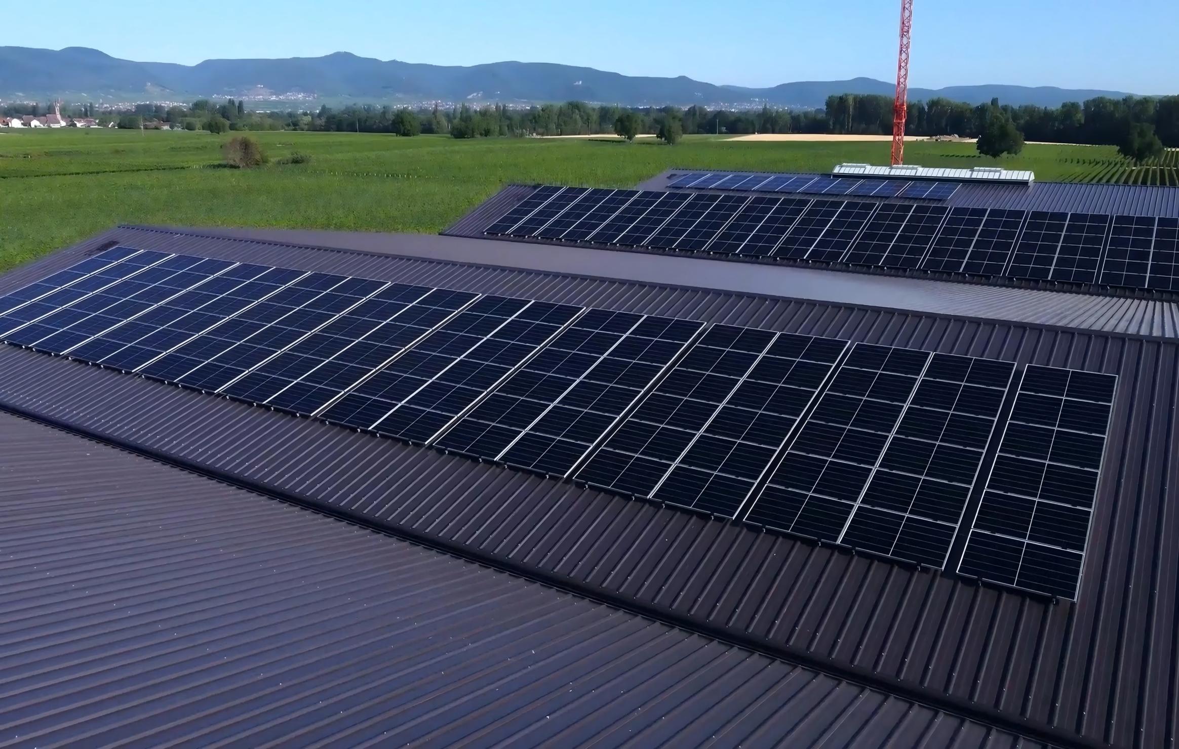 globalne centrum przypadków